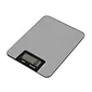 stainless steel scale